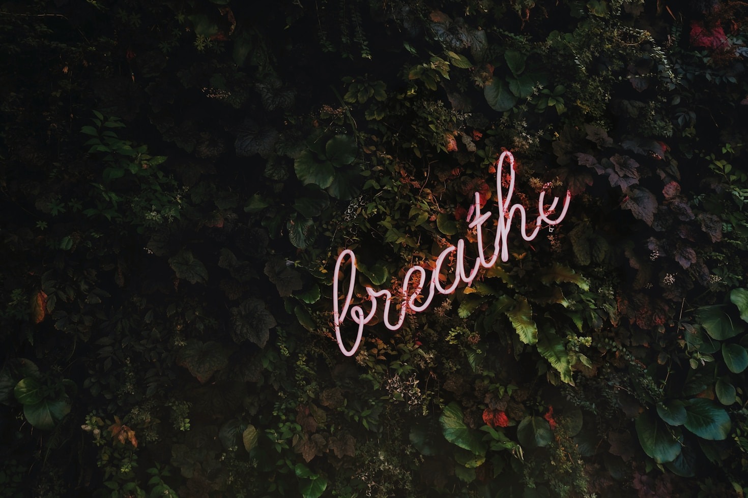 The Science Behind Mindfulness: Benefits for the Mind