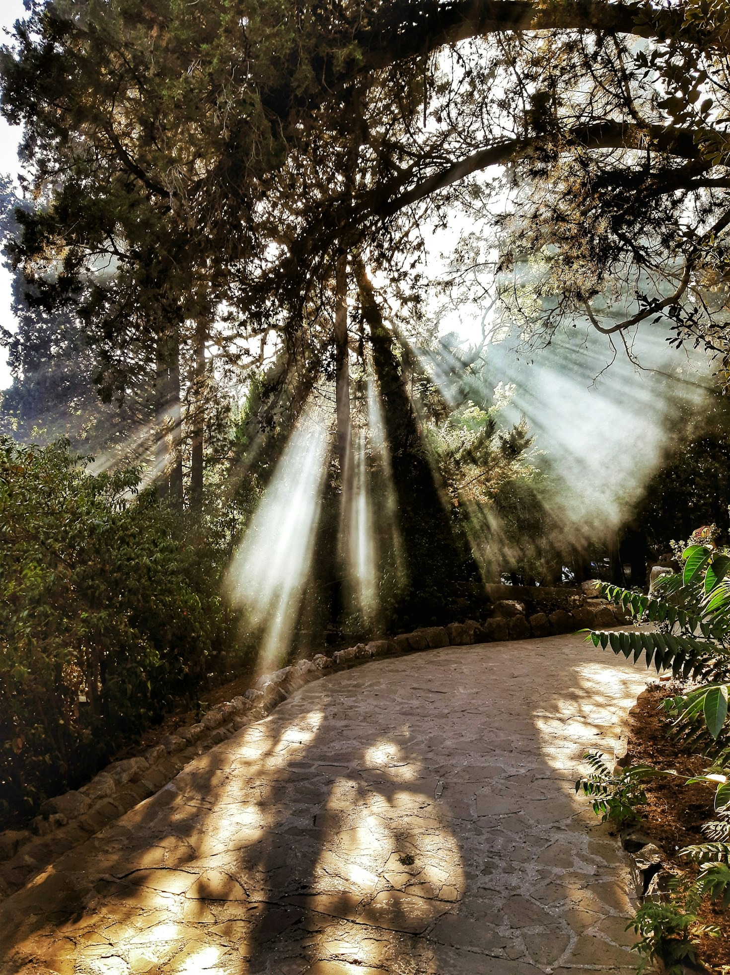 Creating a Morning Routine That Inspires Calm
