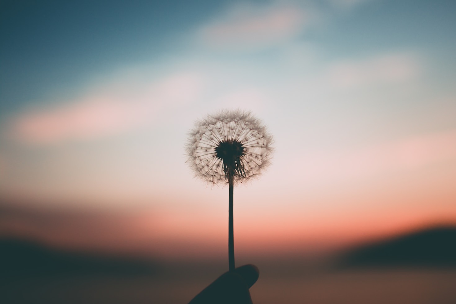Mindful Breathing Techniques Everyone Should Know